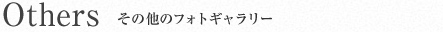 その他のフォトギャラリー