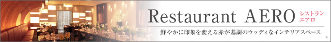 レストラン エアロ